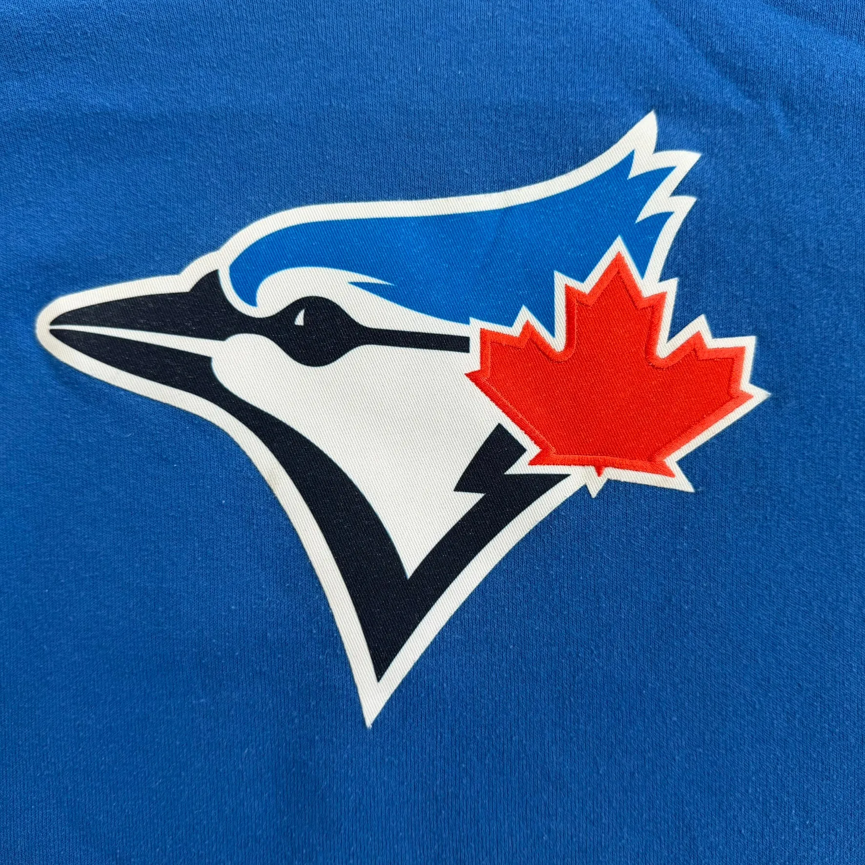 J- Vintage Toronto Blue Jays MLB Embroidered Logo Hoodie - L sold by HG Vintage product image thumbnail 2