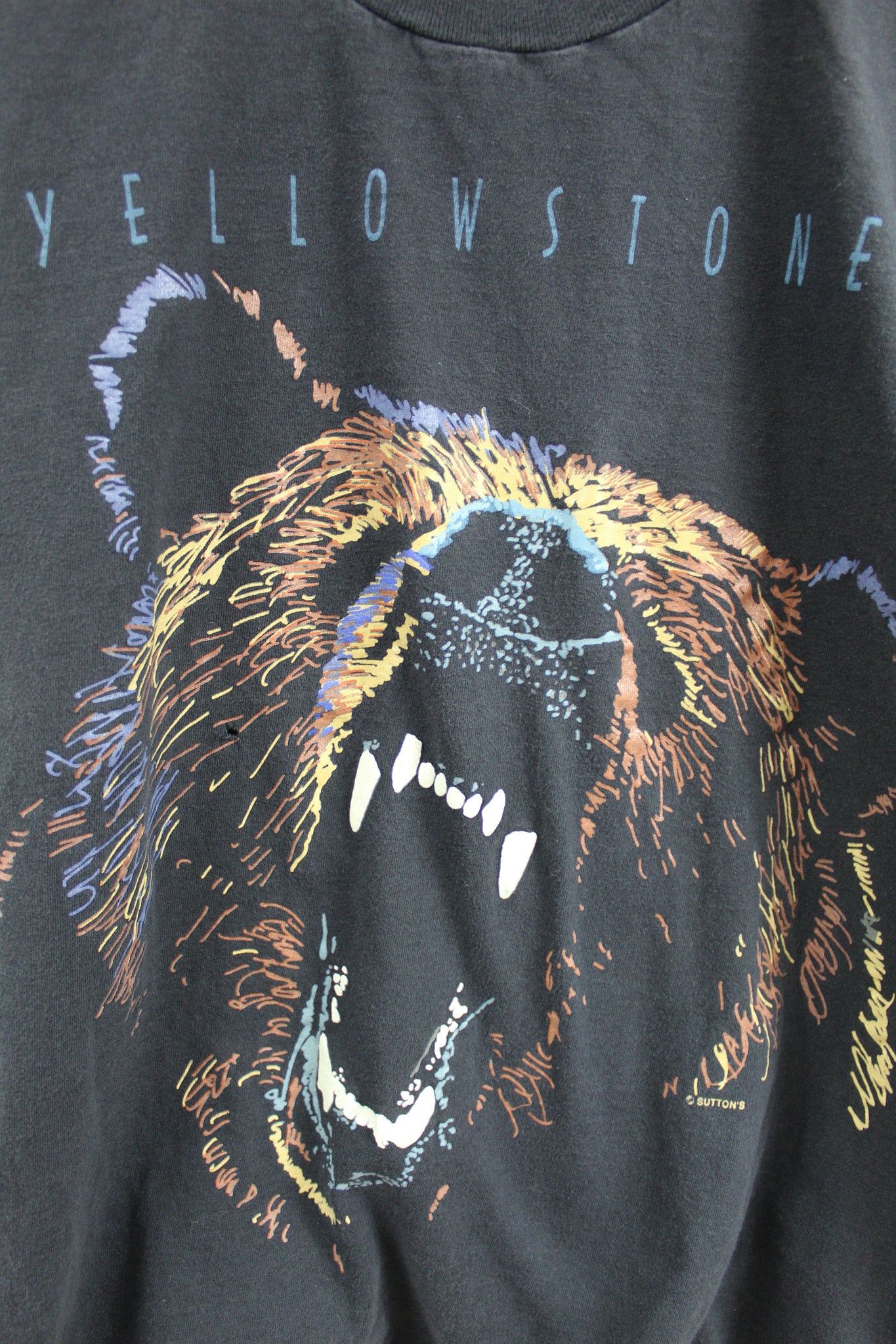 Yellowstone Bear Graphic Tee sold by HG Vintage product image thumbnail 2