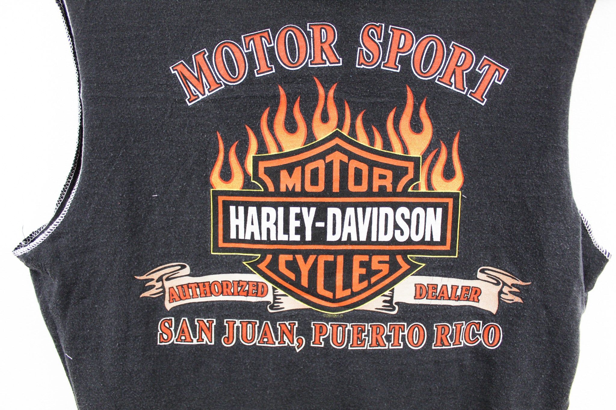 Haus Of Mojo Reworked Vintage Harley Davidson San Juan Double Stitch Crop Top sold by HG Vintage product image thumbnail 4