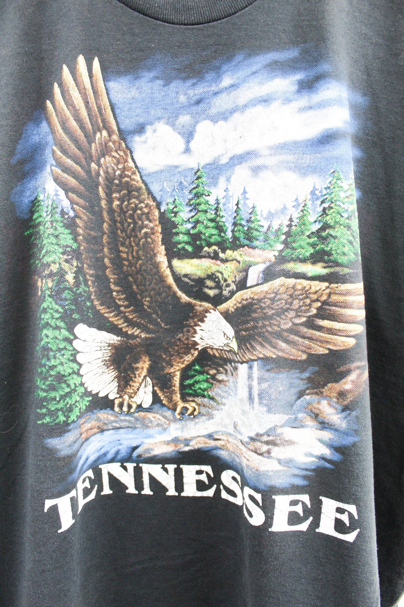 Vintage Single Stitch Tennessee Eagle Graphic Tee sold by HG Vintage product image thumbnail 2
