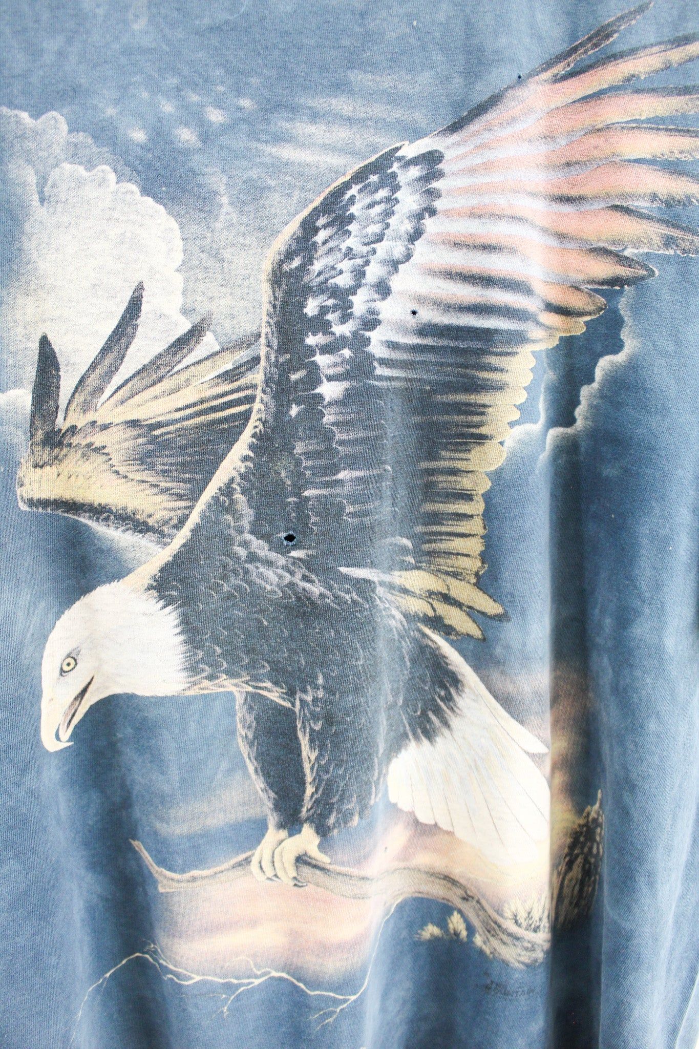 Flying American Eagle Tee sold by HG Vintage product image thumbnail 2