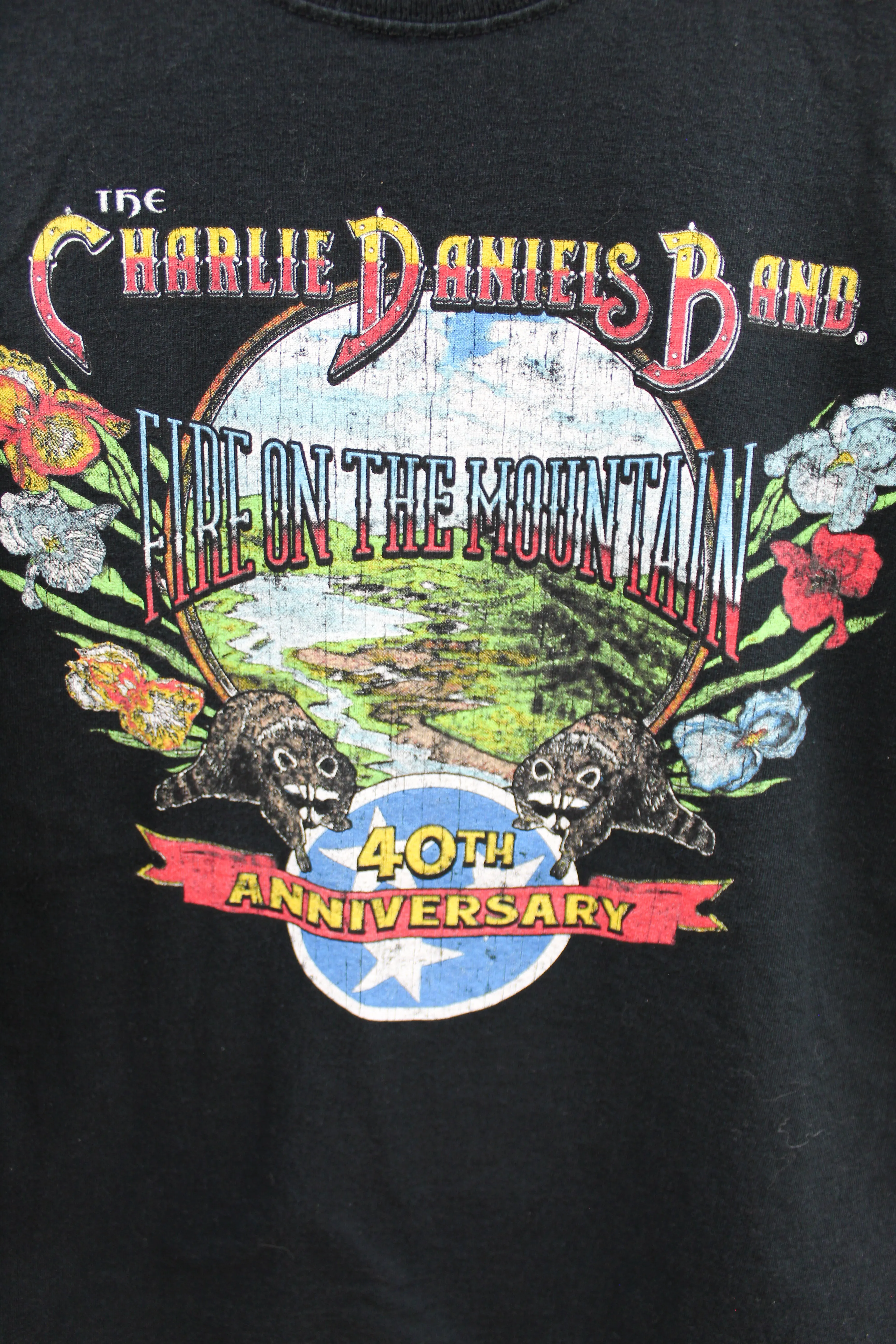 X - 2014 The Charlie Daniels Band Fire On The Mountain 40th Anniversary Tour Tee sold by HG Vintage product image thumbnail 2