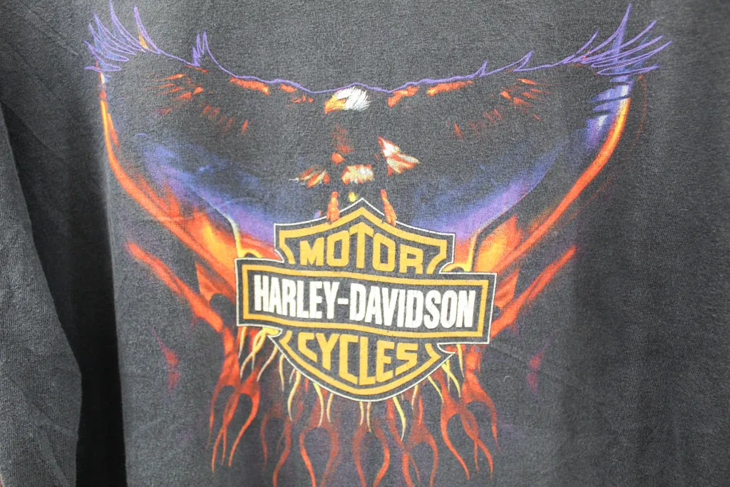 Z- Vintage 2000 Harley Davidson Pittsburgh PA Hanes Heavyweight Tag Long Sleeve Tee sold by HG Vintage product image thumbnail 2