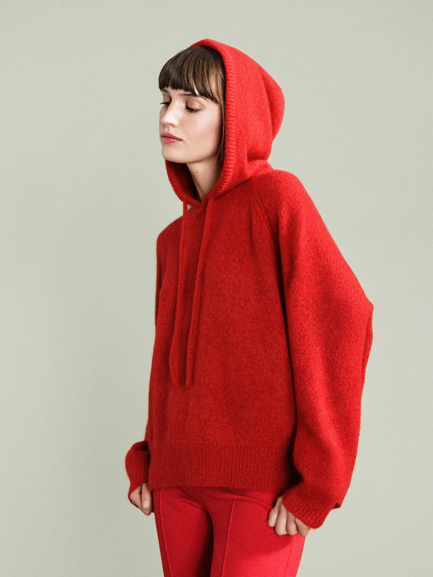 Cashmere Karr Hoodie sold by Hansel From Basel product image thumbnail 2