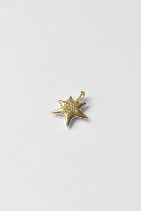 Sea Star Pendant sold by Kara Yoo