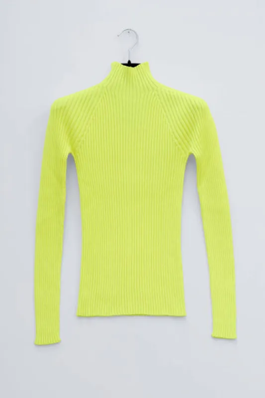 Kyra whole garment rib knit fitted turtlneck sold by Christian Wijnants