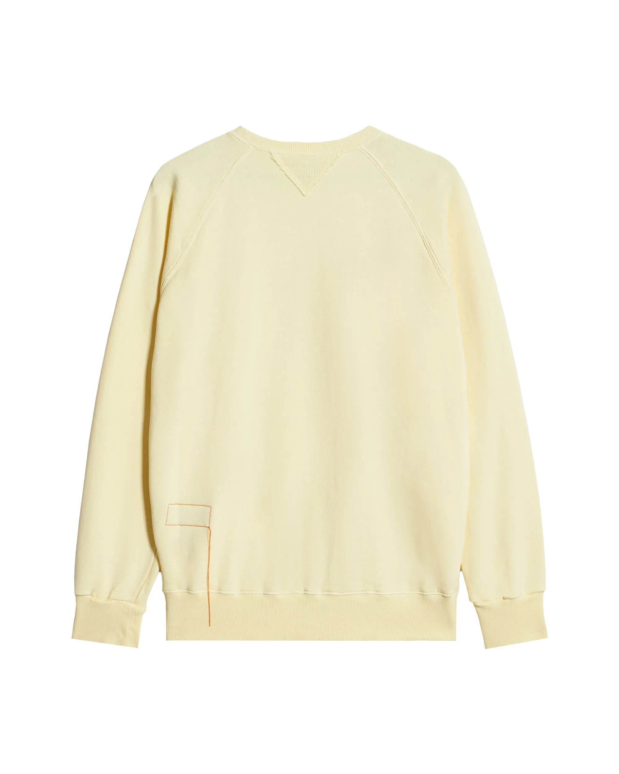 Harvard Felpa Girocollo in Jersey Garzato con taglio Raglan sold by Fortela product image thumbnail 2