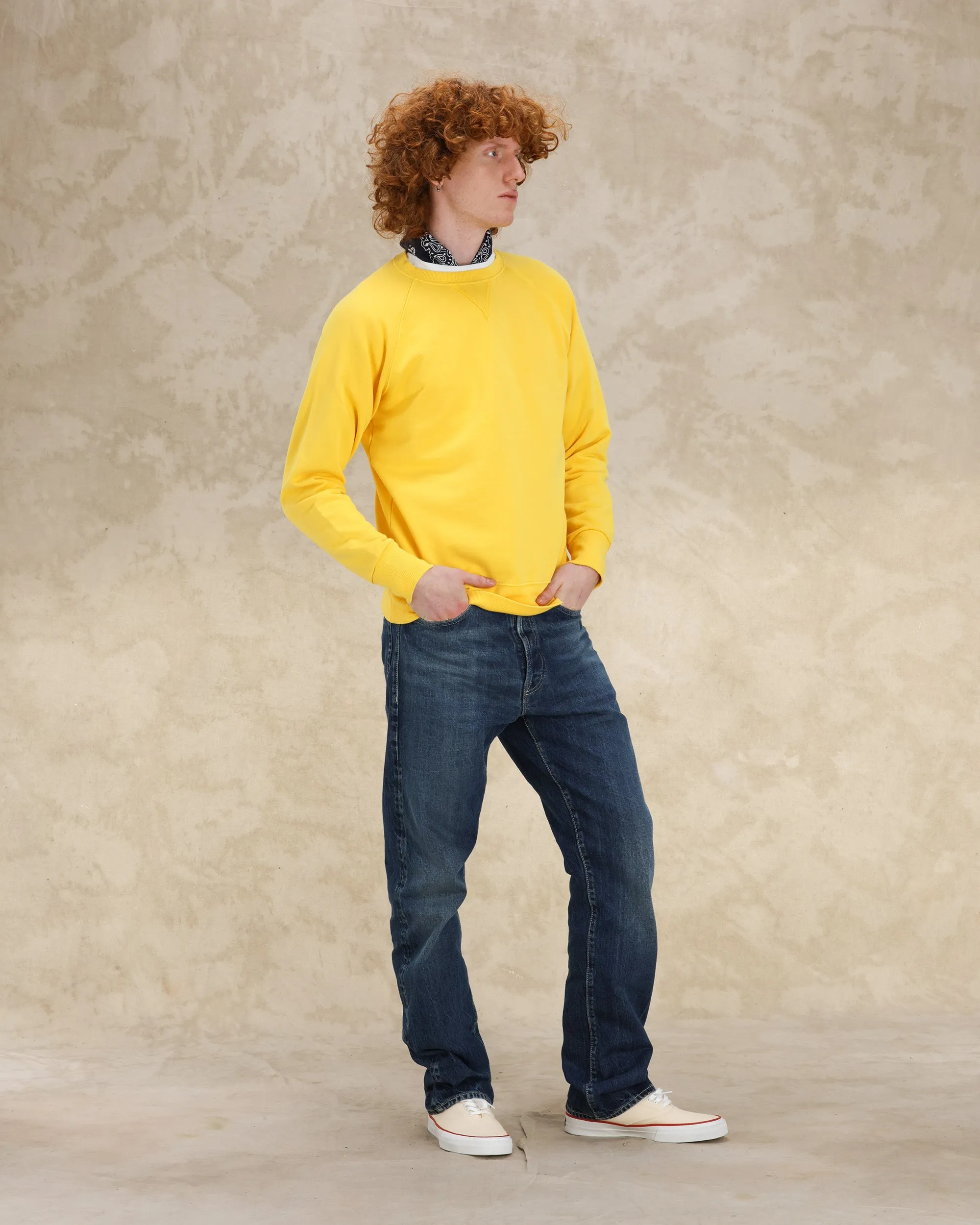 Harvard Felpa Girocollo in Jersey Garzato con taglio Raglan sold by Fortela product image thumbnail 5