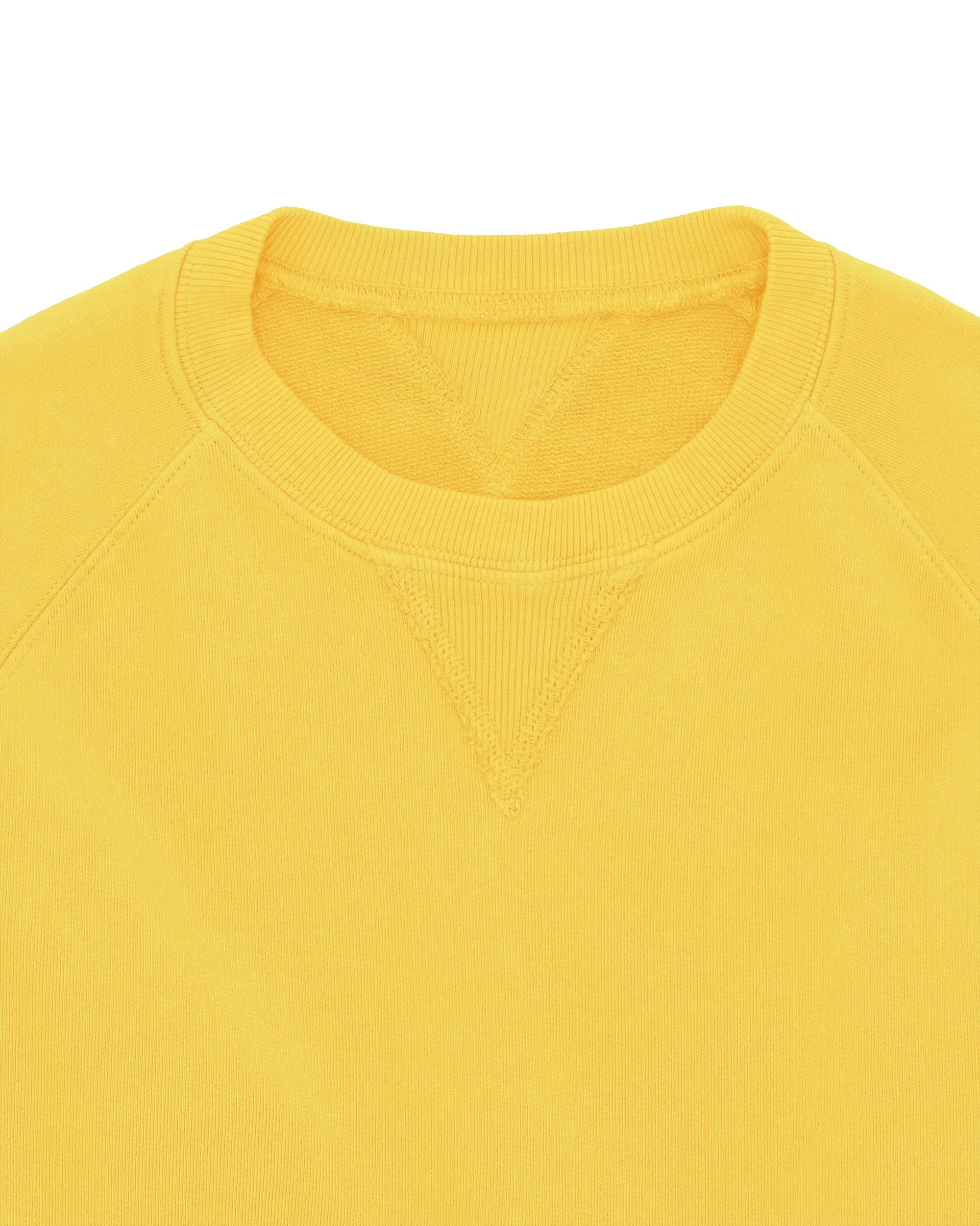 Harvard Felpa Girocollo in Jersey Garzato con taglio Raglan sold by Fortela product image thumbnail 3