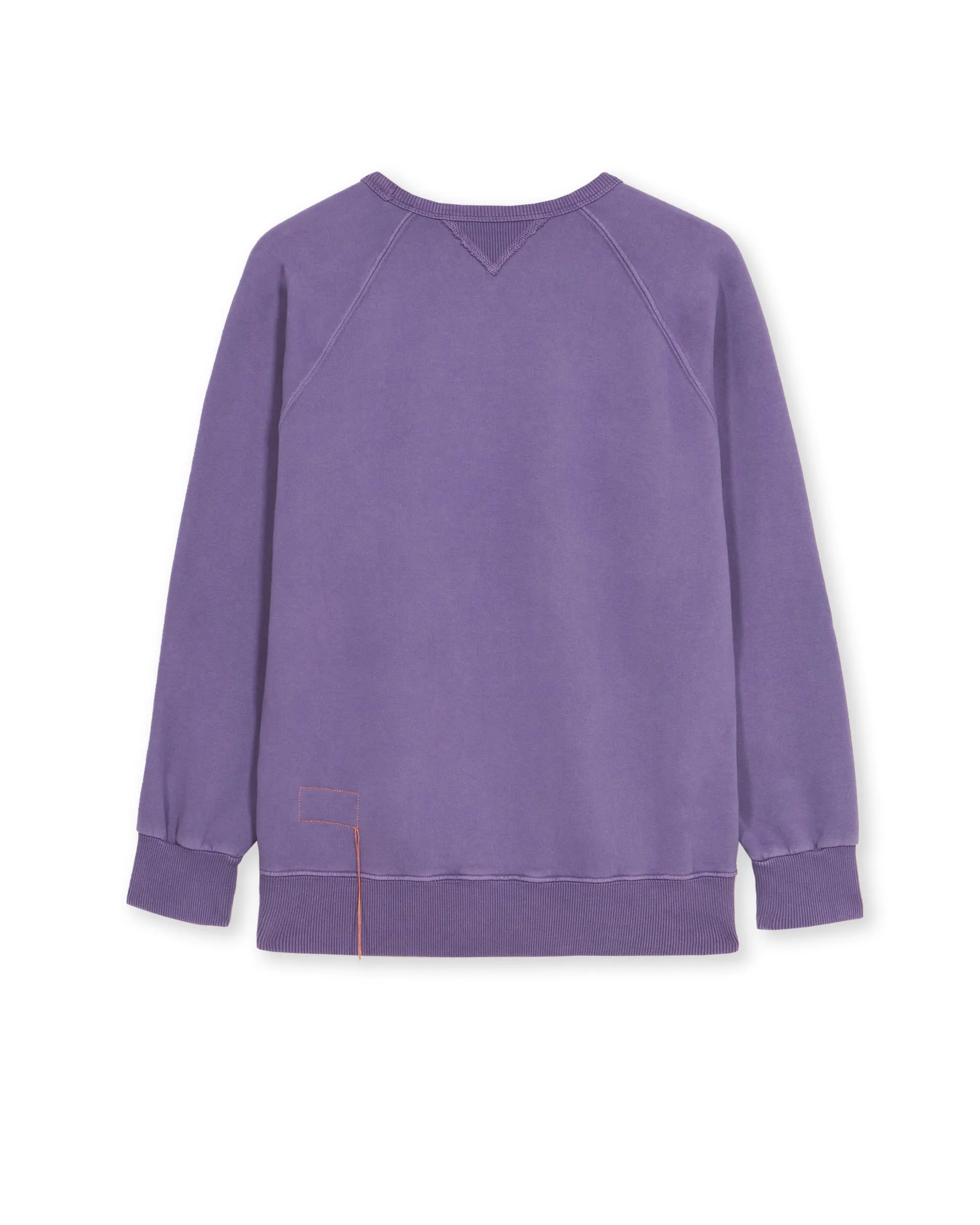 Harvard Felpa Girocollo in Jersey Felpato con taglio Raglan sold by Fortela product image thumbnail 2