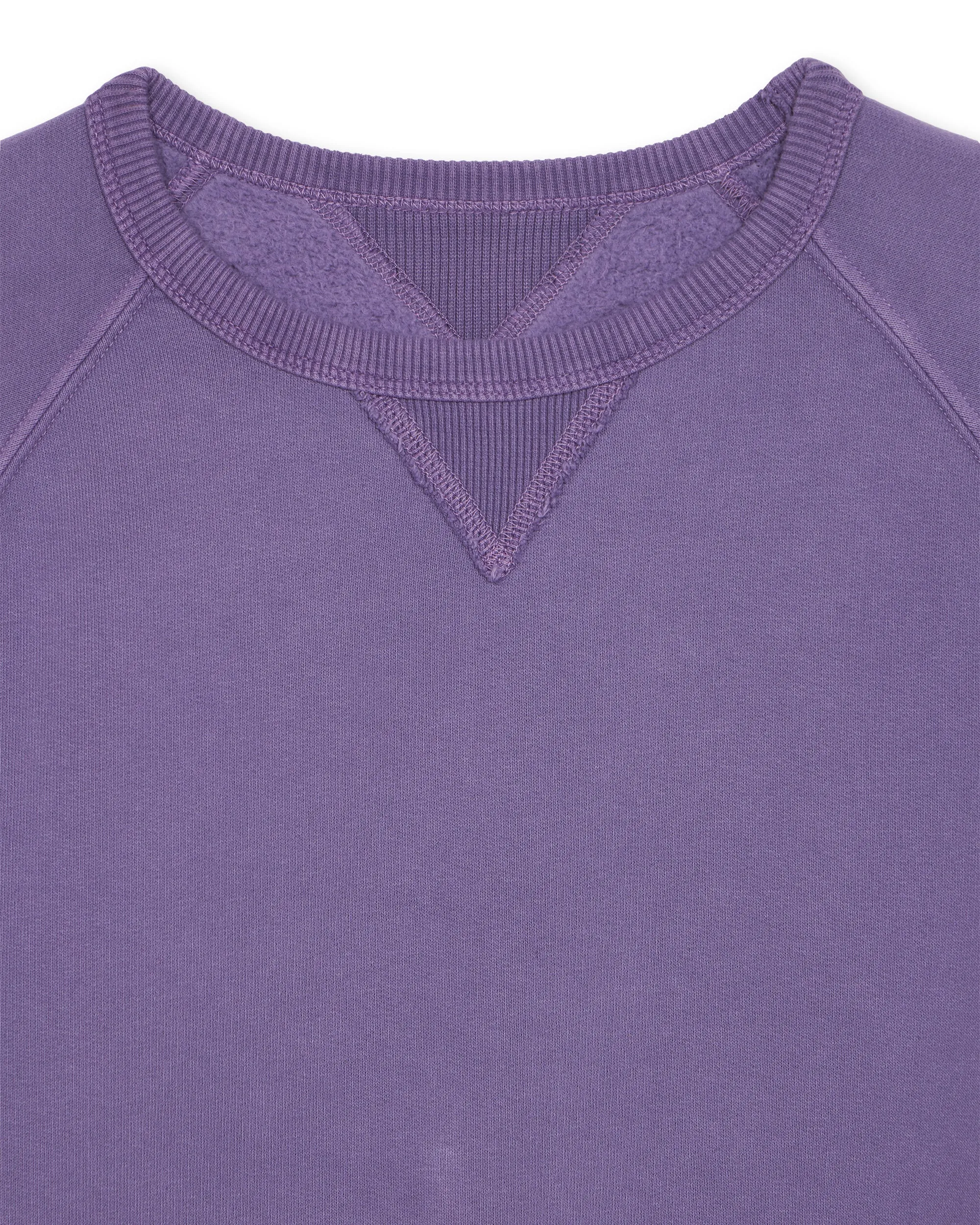 Harvard Felpa Girocollo in Jersey Felpato con taglio Raglan sold by Fortela product image thumbnail 3