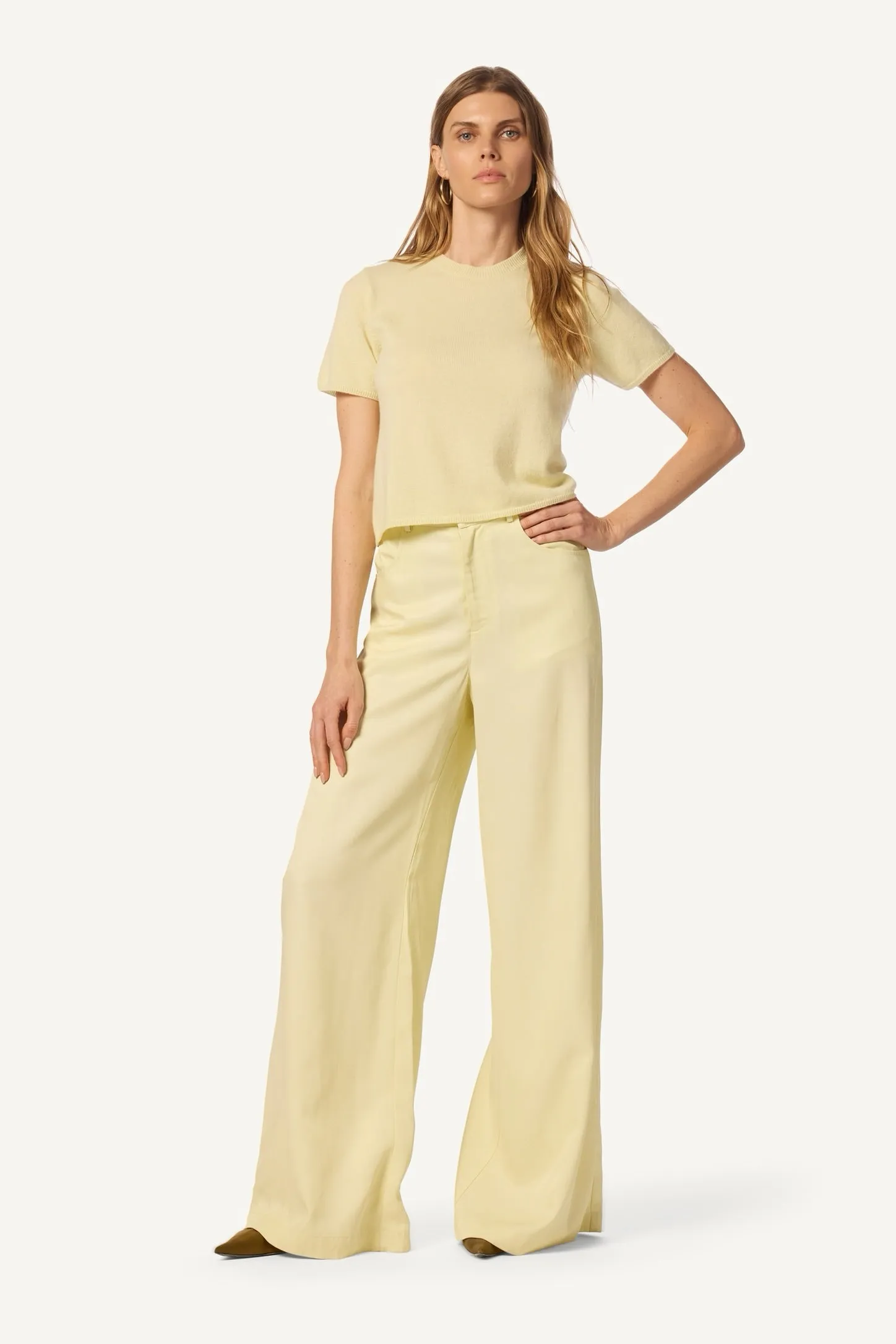 ADRIANNA EXAGGERATED WIDE LEG PANT | PALE CITRON sold by Sablyn product image thumbnail 3
