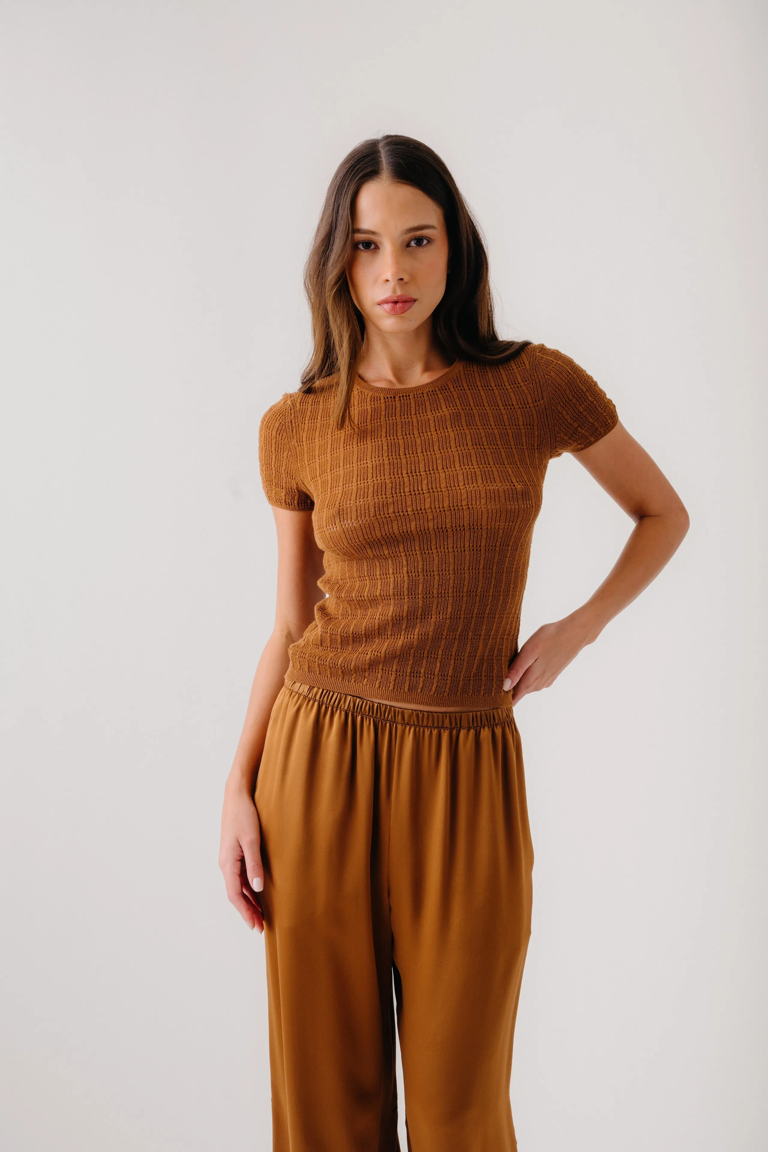 ISOLDE SLIM CREWNECK TEE | TOBACCO sold by Sablyn product image thumbnail 4