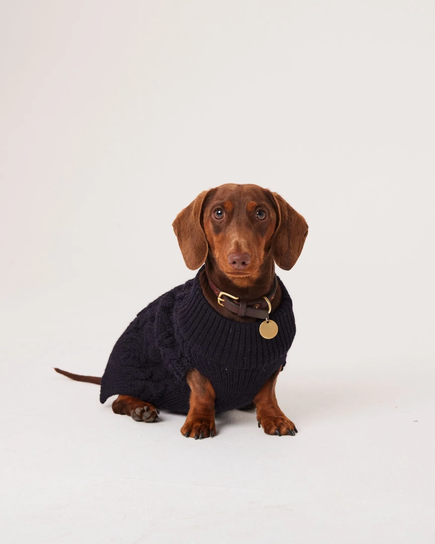 Houndson Aran Dog Jumper sold by Peregrine product image thumbnail 3
