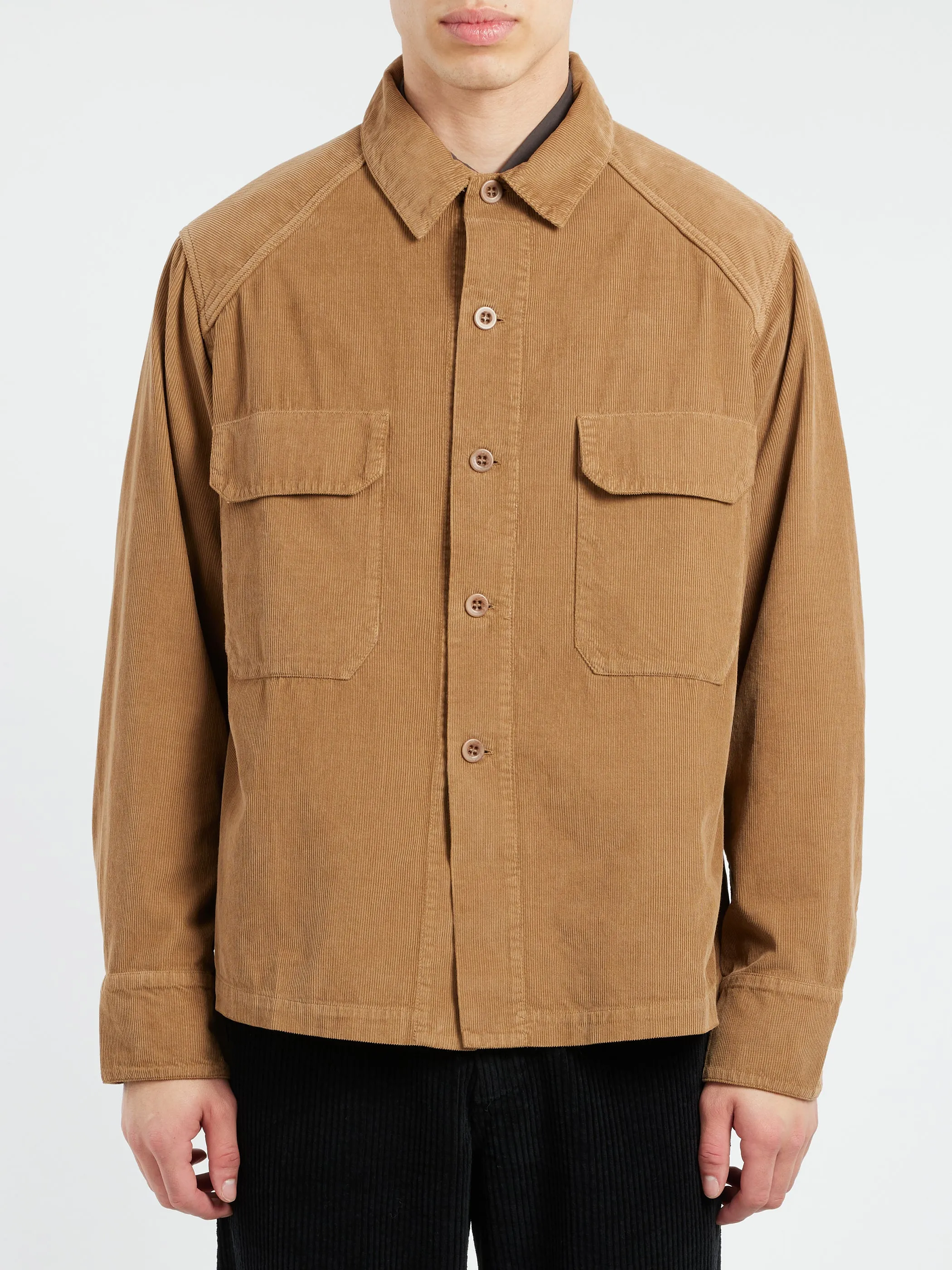 Benoit sold by gravitypope