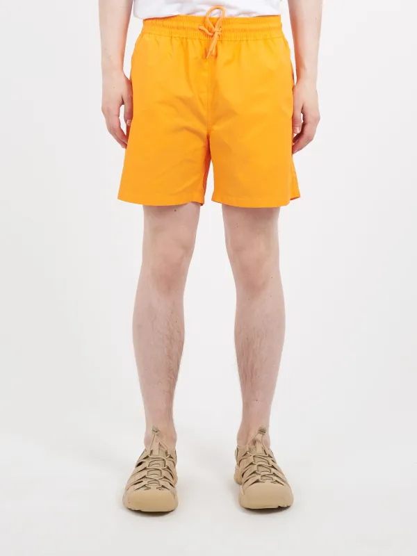 Classic Swim Shorts sold by gravitypope