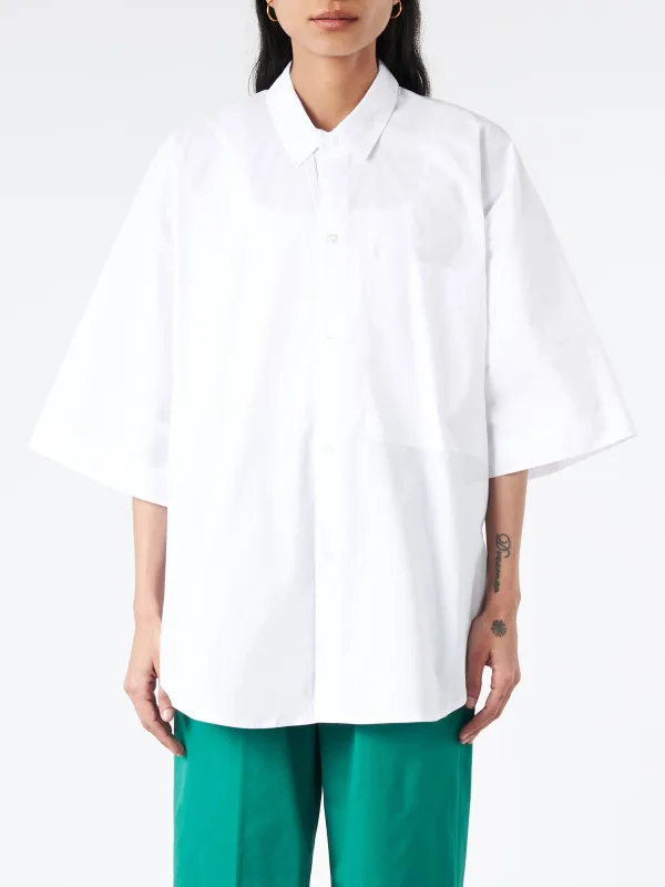 Beech sold by gravitypope