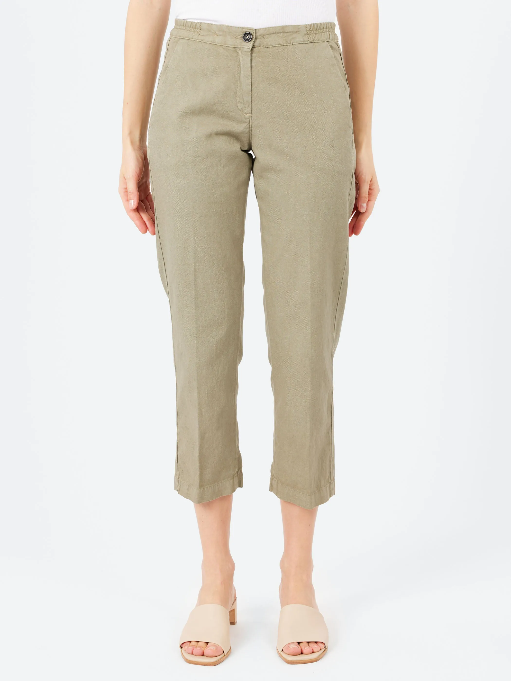 Sparus sold by gravitypope