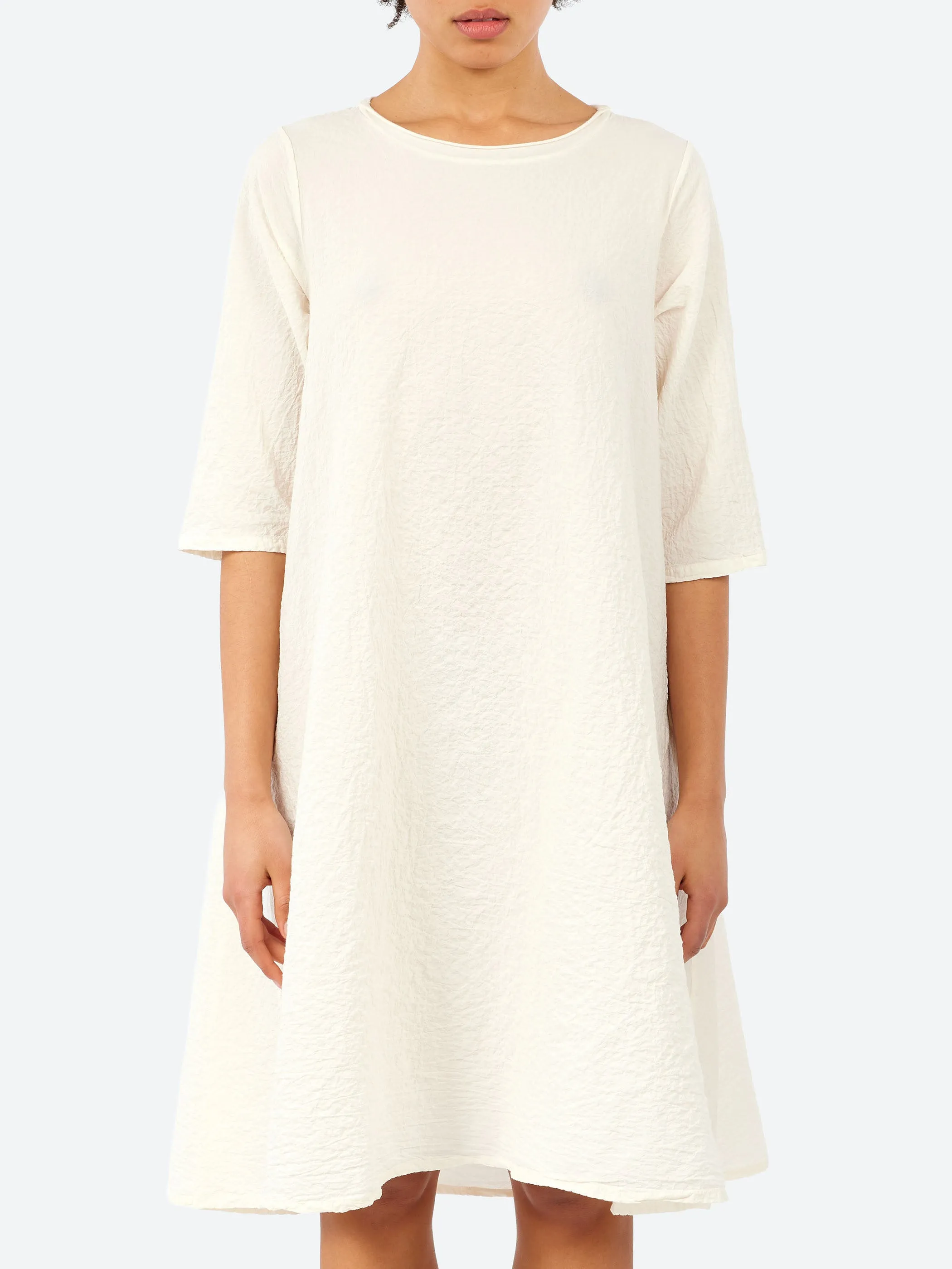 Riccio sold by gravitypope