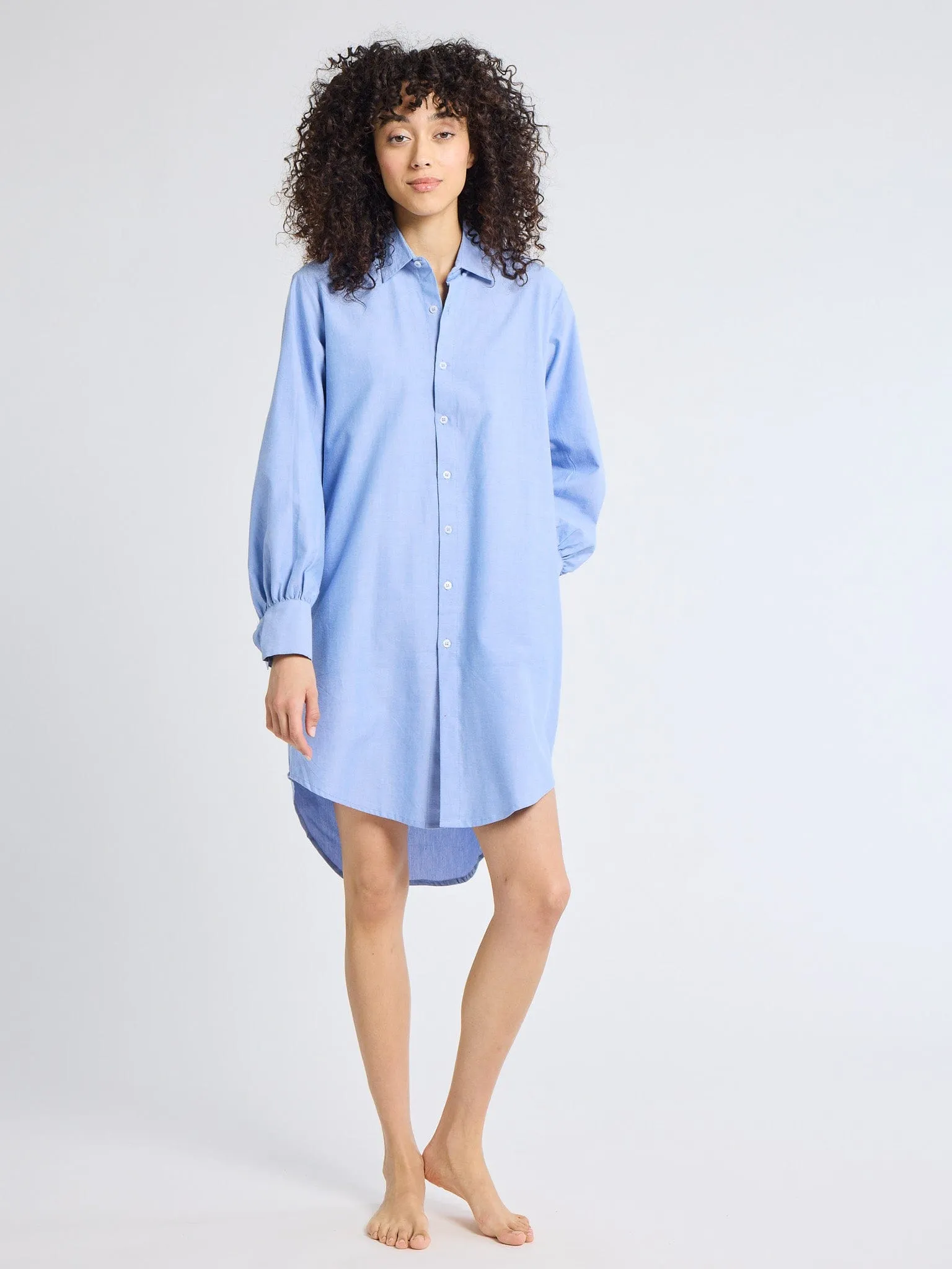 Holly Mini Dress in Blue Oxford sold by MILLE product image thumbnail 2