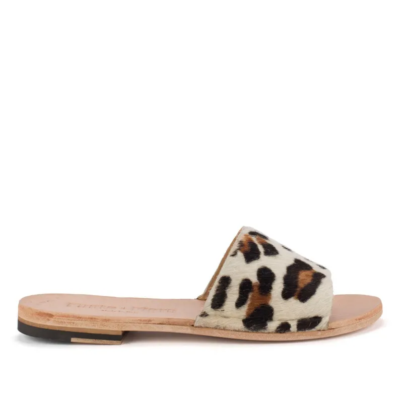 SAN 10 – Wild Pony sold by Punto Pigro