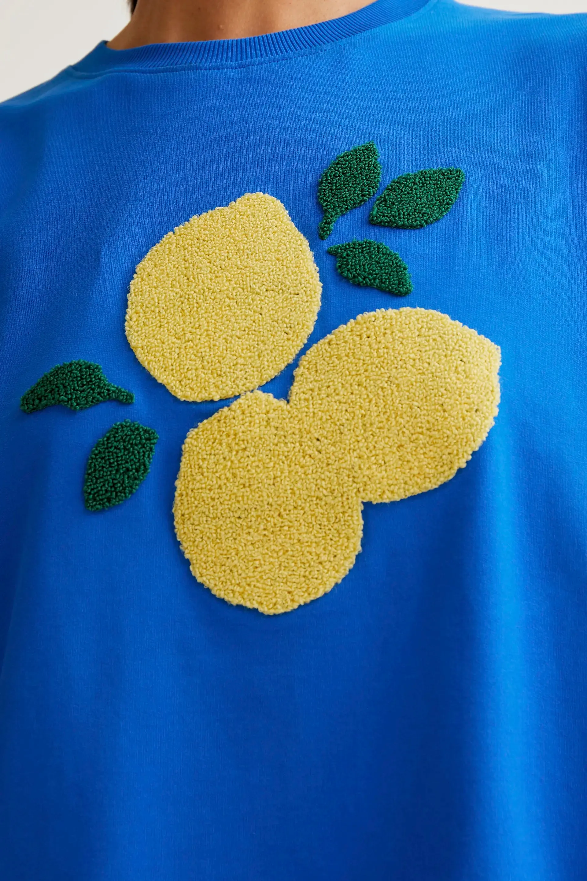 Sudadera con bordado de Limones gigante sold by Compania Fantasica product image thumbnail 4