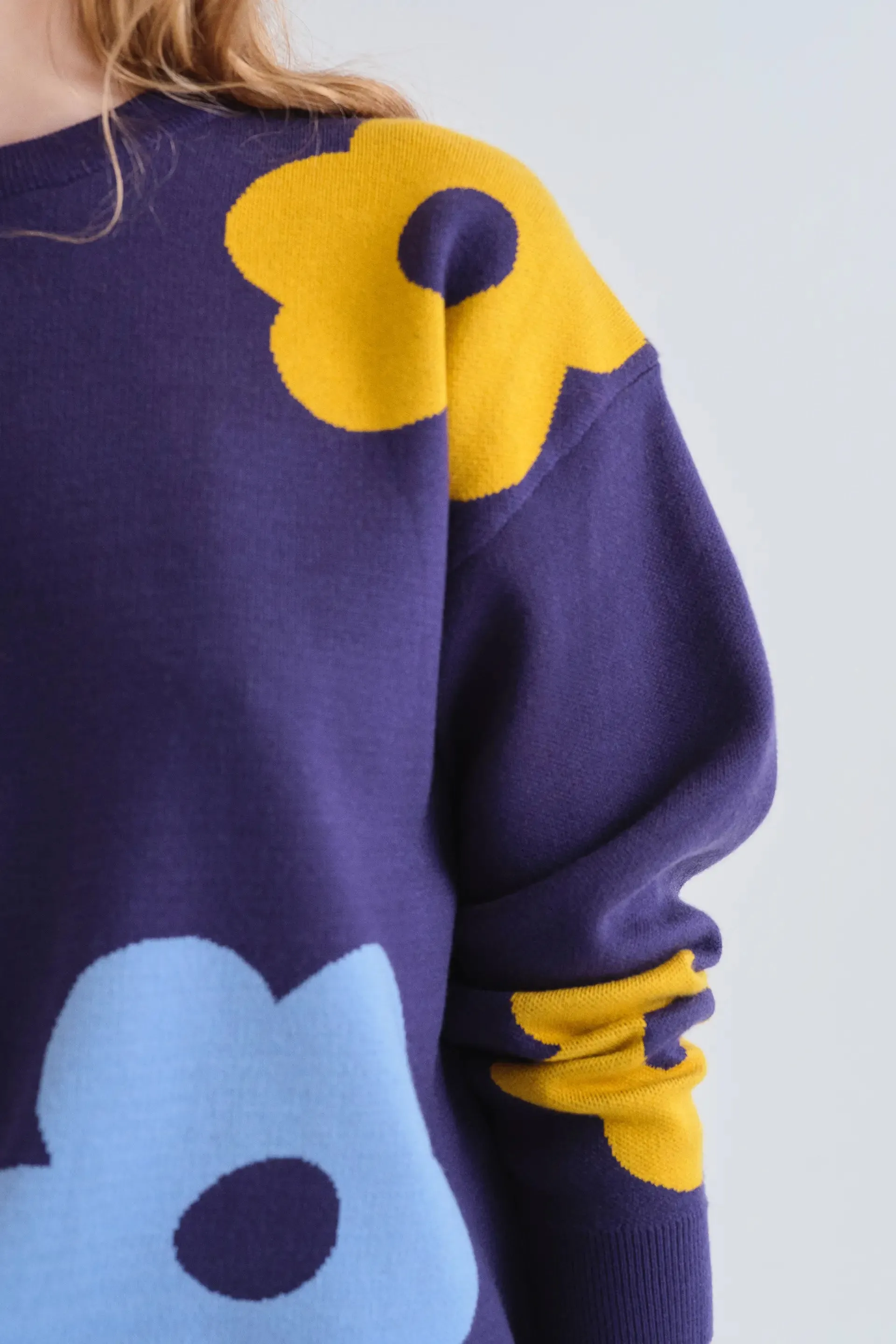 Jersey con estampado Euphonia sold by Compania Fantasica product image thumbnail 3