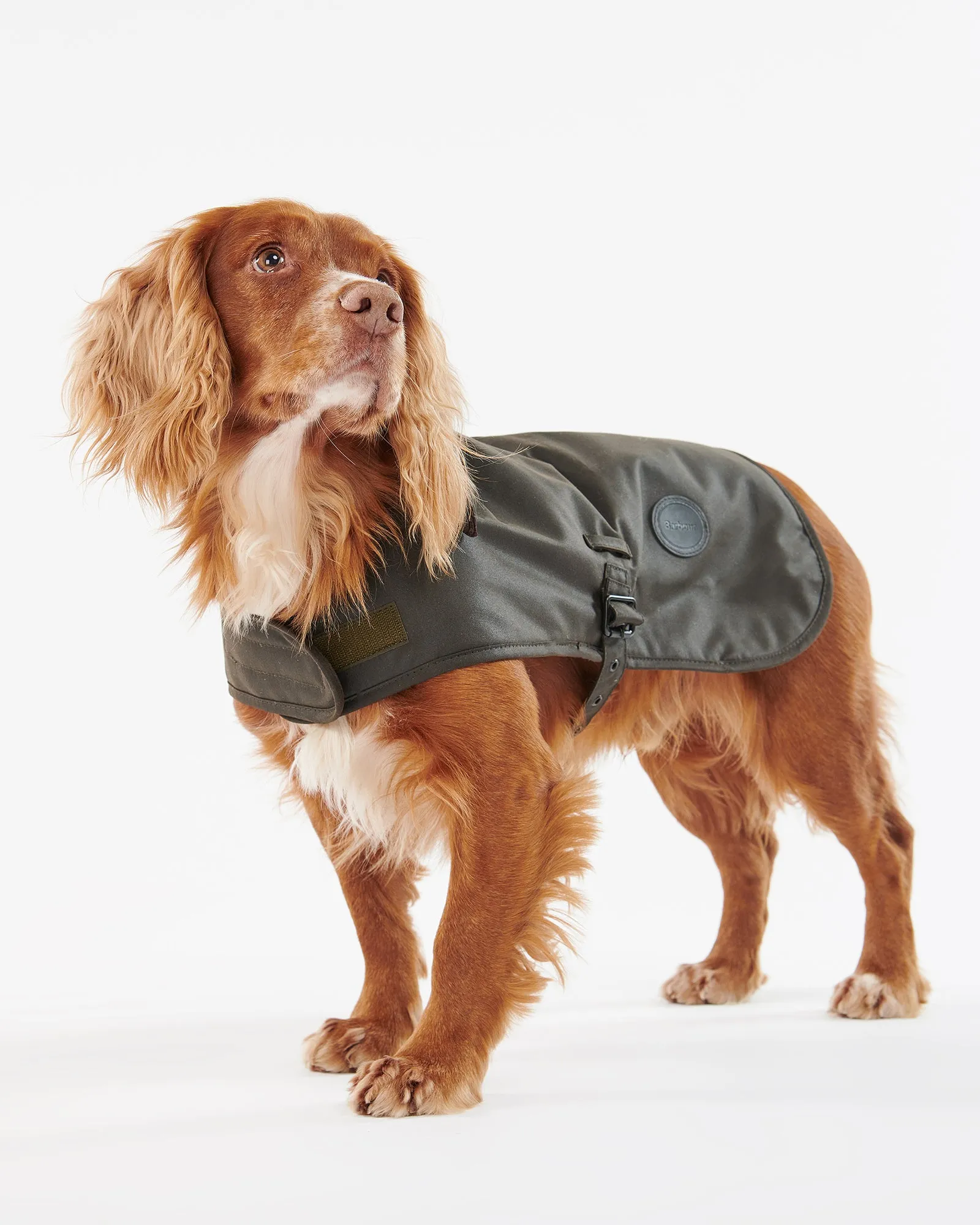The Barbour Waxed Dog Jacket "to personalize" sold by Maison Labiche product image thumbnail 4
