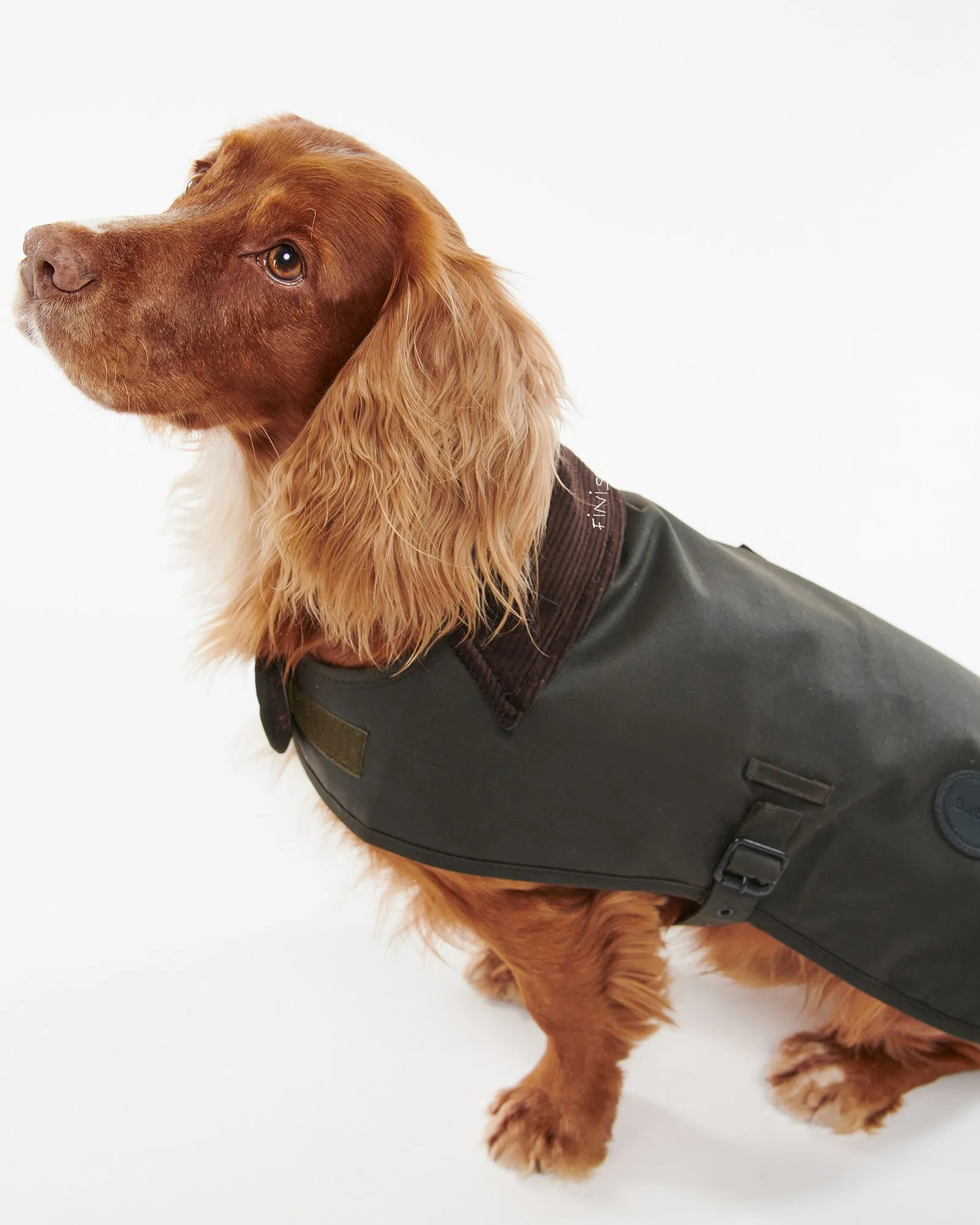 The Barbour Waxed Dog Jacket "to personalize" sold by Maison Labiche product image thumbnail 3