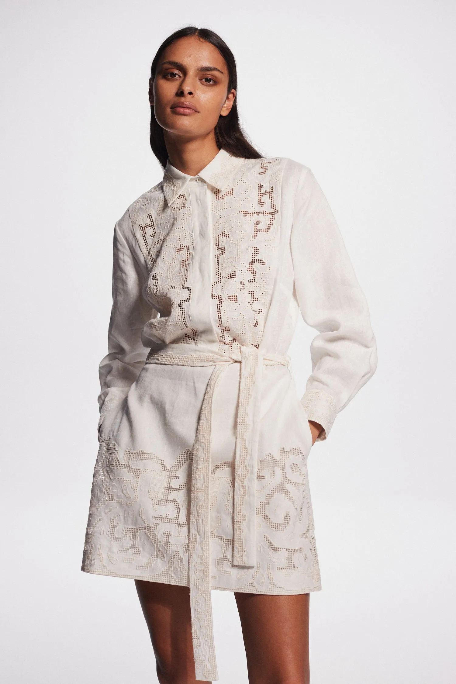 PEGASUS EMBROIDERED MINI DRESS sold by Alemais product image thumbnail 4