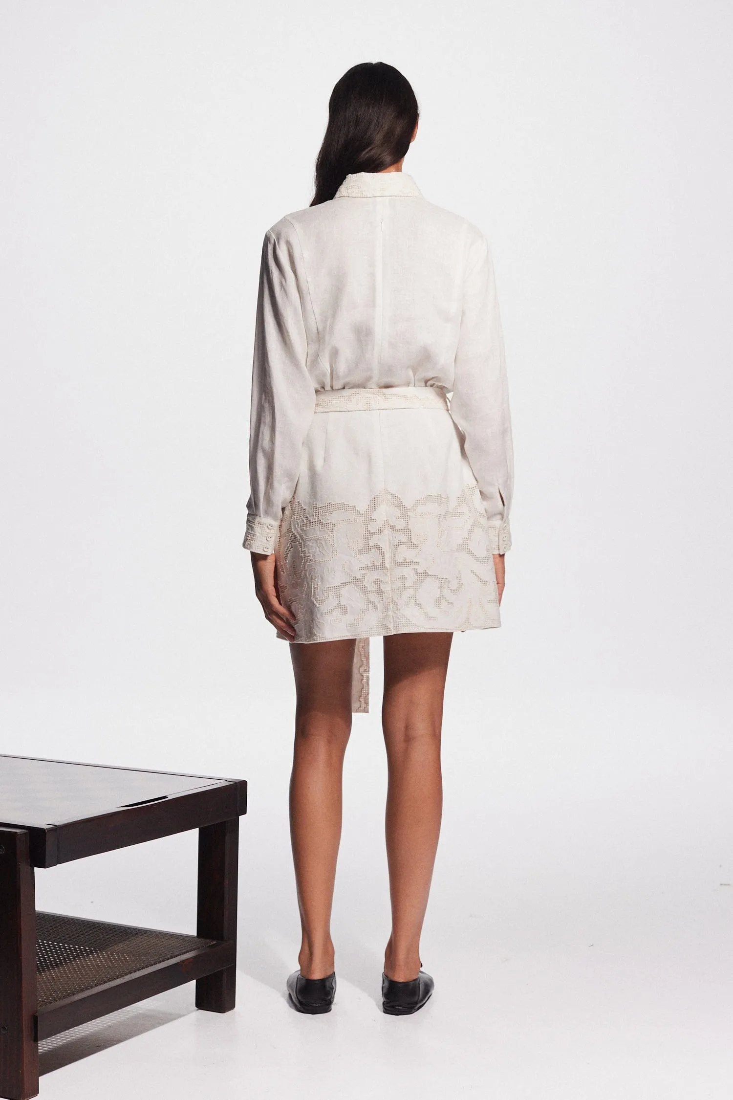 PEGASUS EMBROIDERED MINI DRESS sold by Alemais product image thumbnail 5