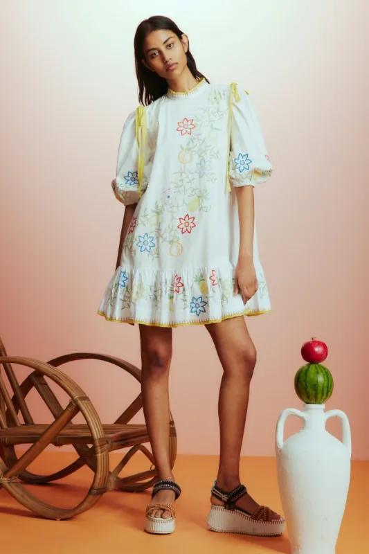 OLIVIA EMBROIDERED MINI DRESS sold by Alemais