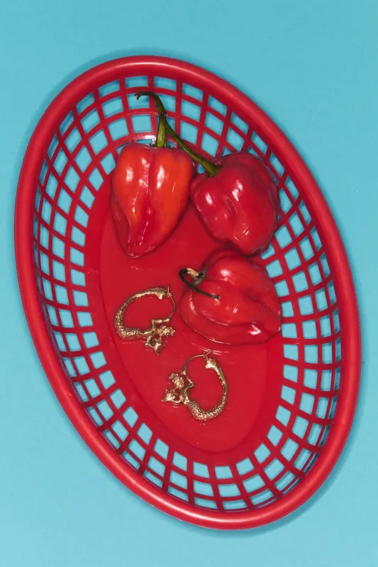 ENCANTO MERMAN HOOP EARRINGS GOLD made by Alemais