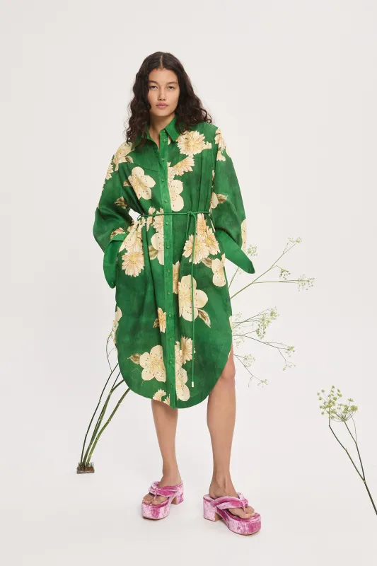 SAGE SHIRTDRESS sold by Alemais