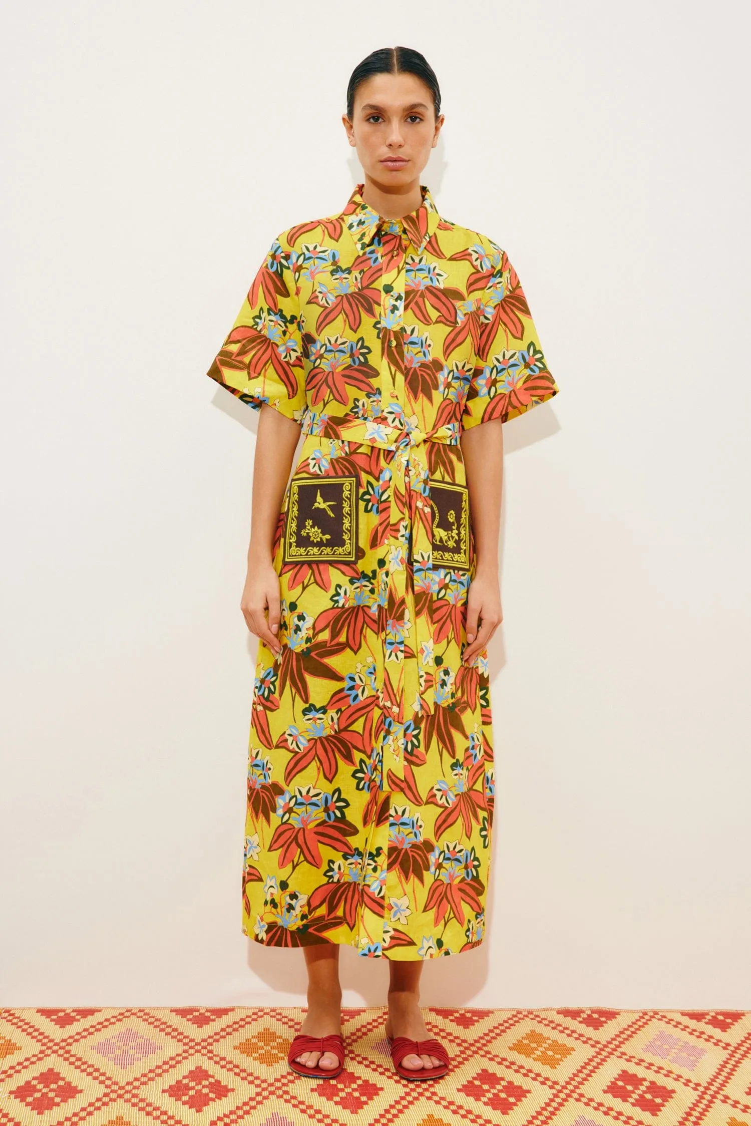 LEO EMBROIDERED SHIRTDRESS sold by Alemais product image thumbnail 2