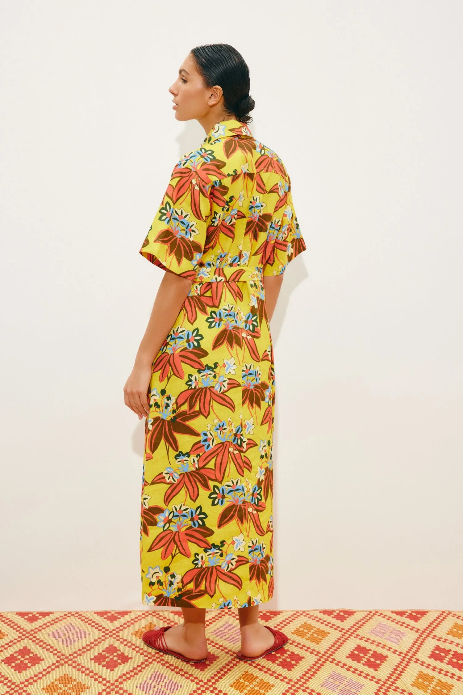 LEO EMBROIDERED SHIRTDRESS sold by Alemais product image thumbnail 4