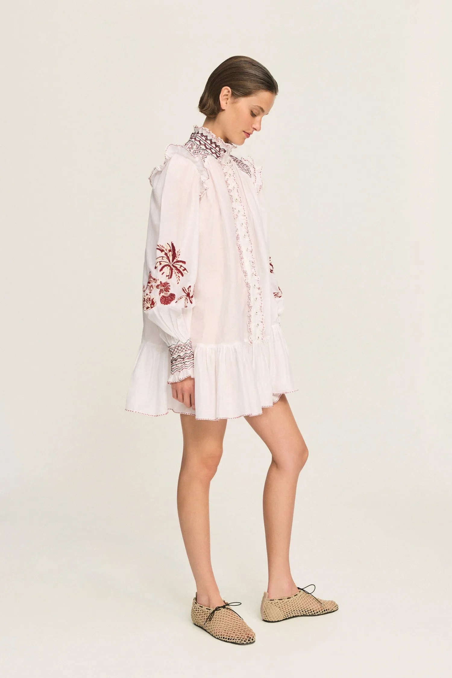 ODIE EMBROIDERED MINI DRESS sold by Alemais product image thumbnail 3