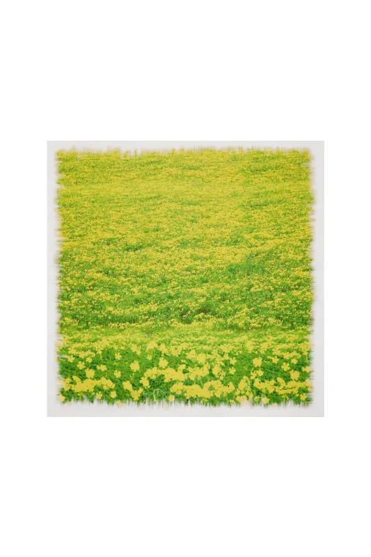 BERMUDA BUTTERCUP SILK SCARF made by Alemais
