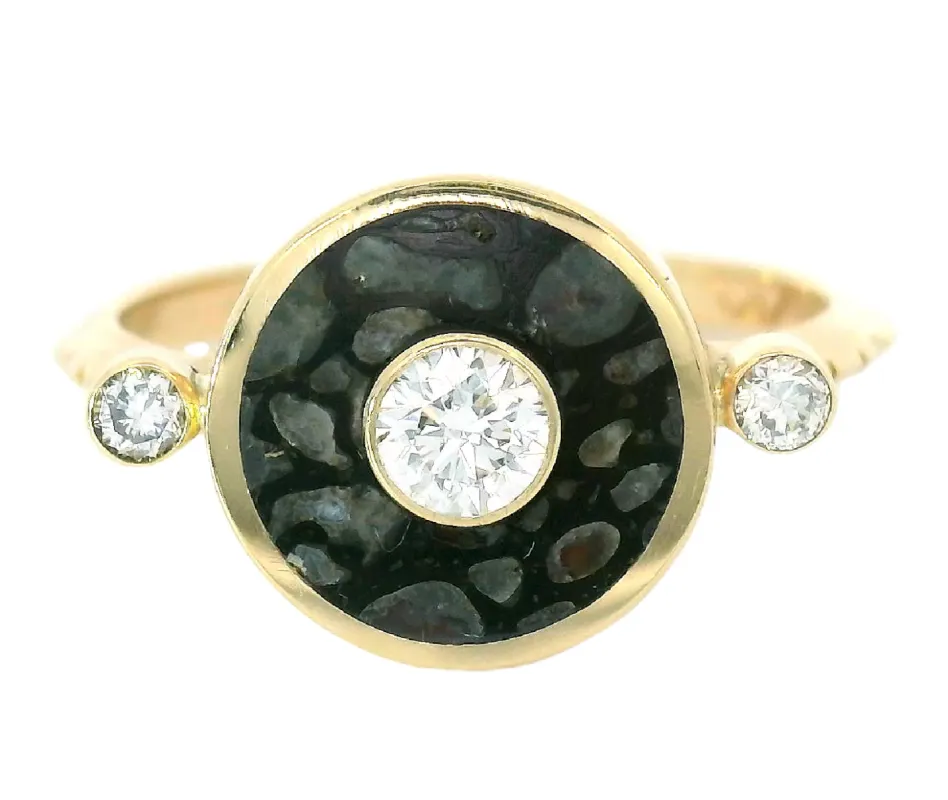 Orion Ring - Fossilized Dinosaur Bone sold by Young In The Mountains