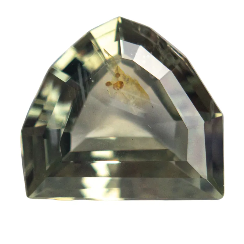 2.83ct 9.33x8.38x4.28mm Shield Step Cut Sapphire 25174-05 sold by Young In The Mountains