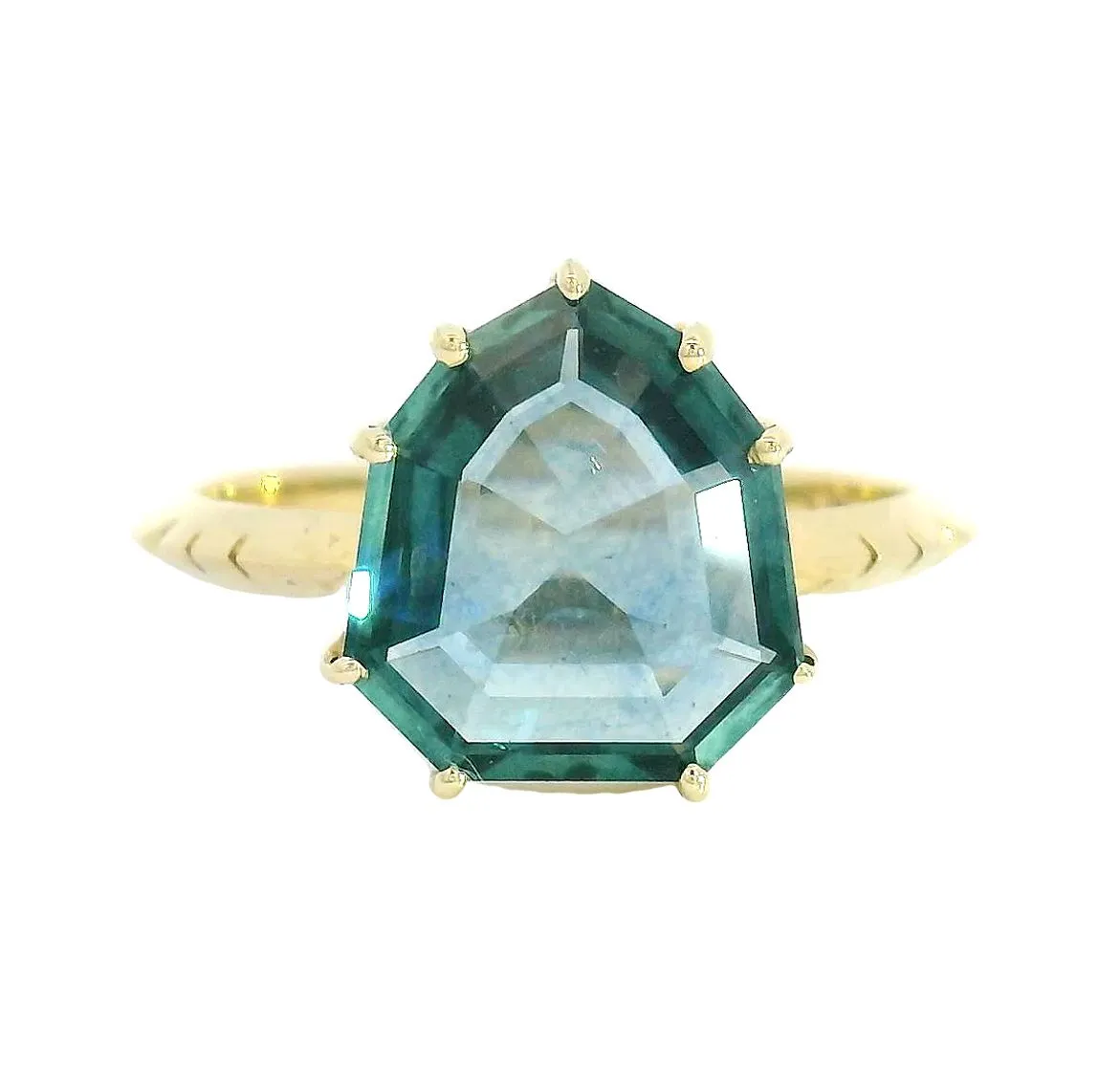 The Aegis sold by Young In The Mountains