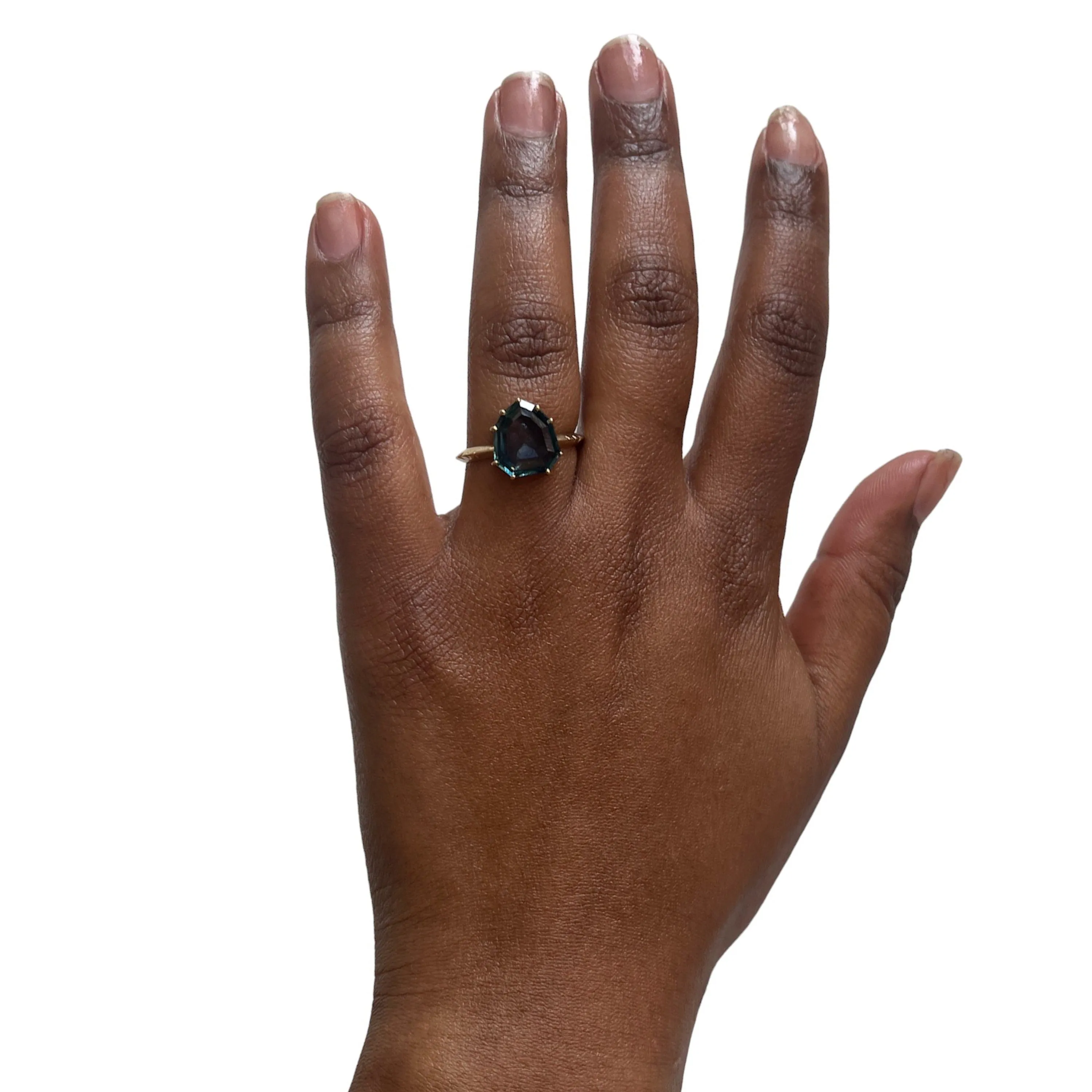 The Aegis sold by Young In The Mountains product image thumbnail 3