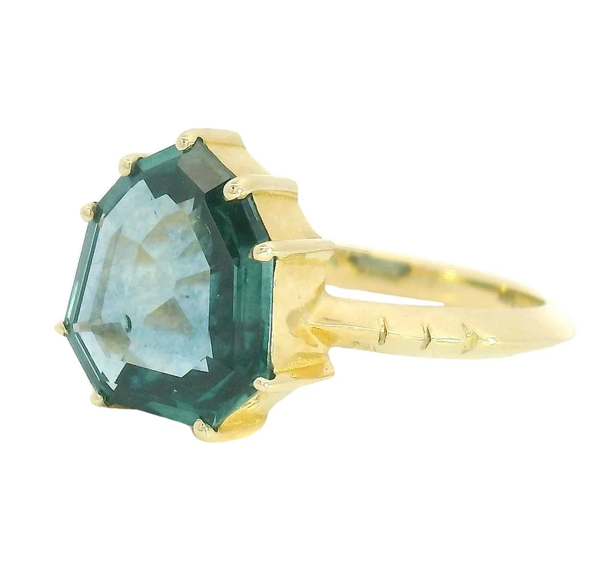 The Aegis sold by Young In The Mountains product image thumbnail 2