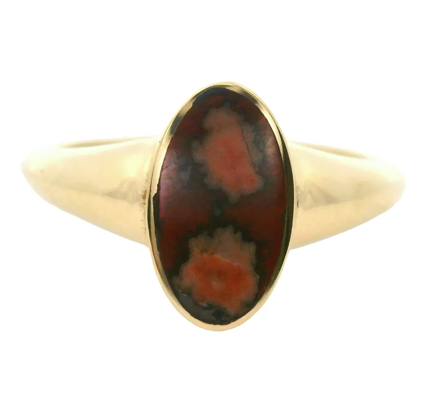 The Polaris Ring sold by Young In The Mountains