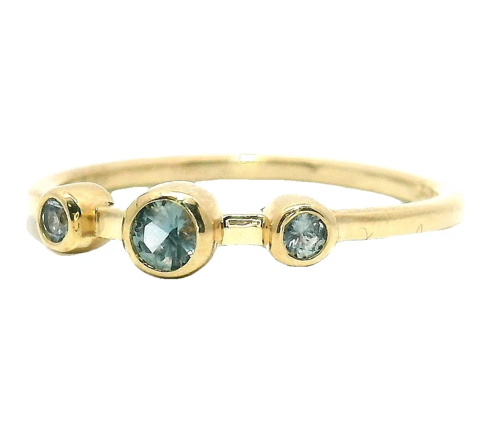 The Cerberus - Montana Sapphire Ring sold by Young In The Mountains product image thumbnail 2