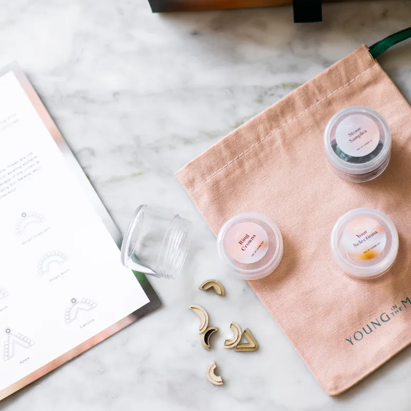 TRY AT HOME sold by Young In The Mountains