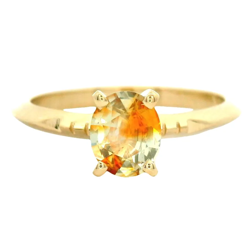 The Kohaku sold by Young In The Mountains