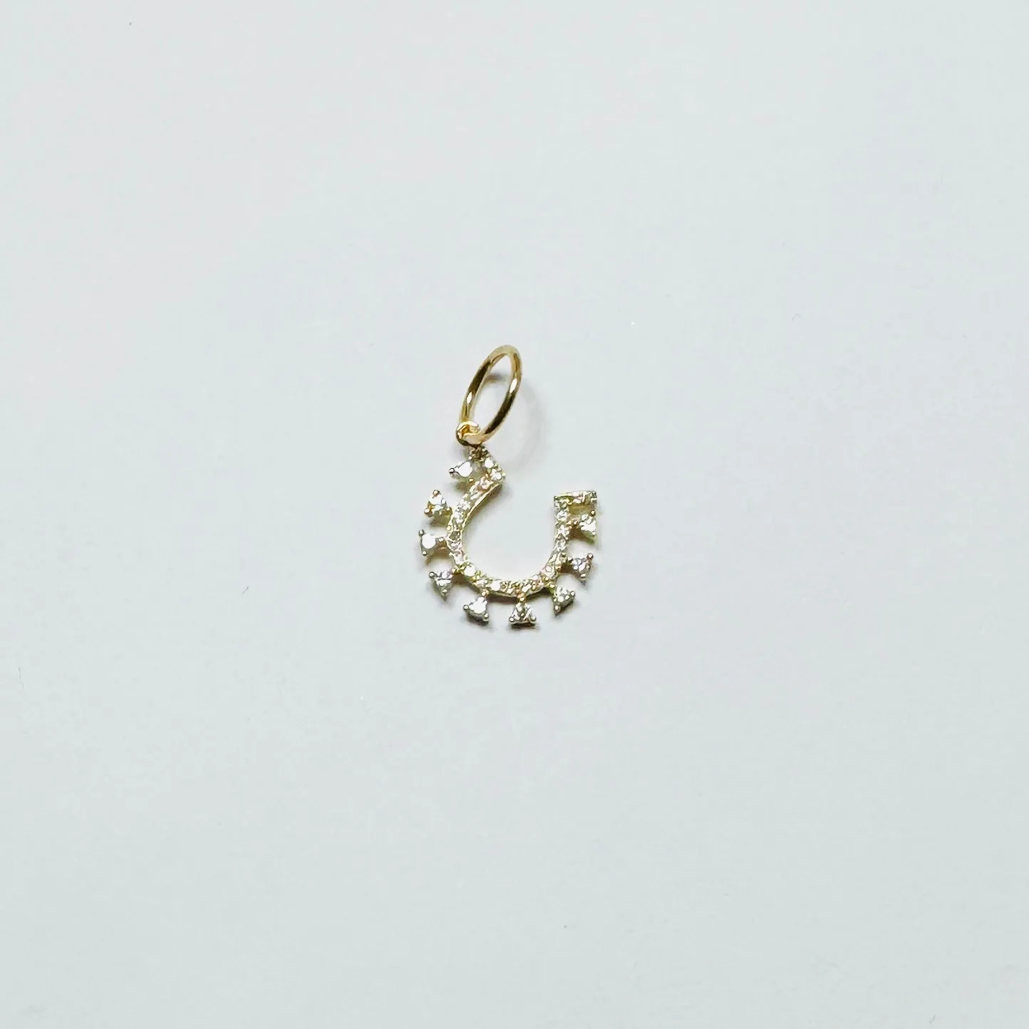 horseshoe charm sold by Theodosia