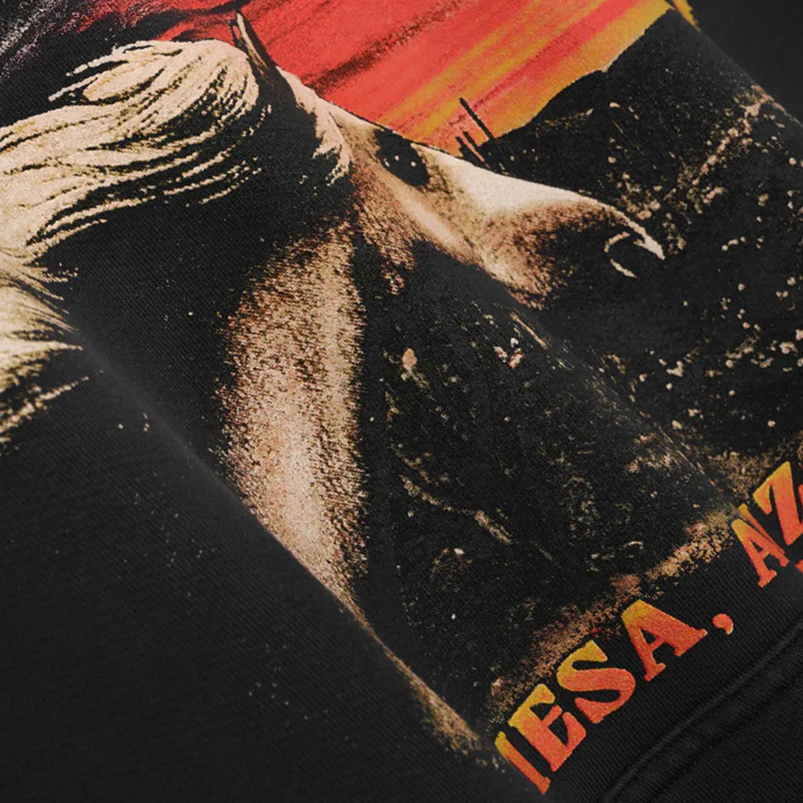 MESA STALLION HOODIE - VINTAGE BLACK sold by Lapstone & Hammer product image thumbnail 4