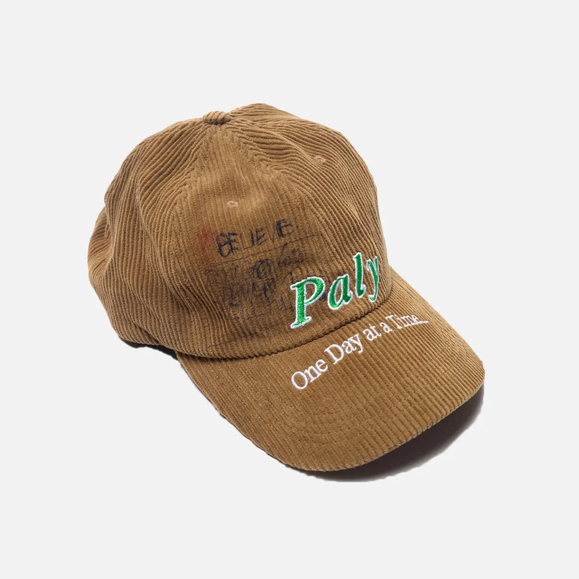 CONFESSIONS LOW PROFILE HAT - BROWN sold by Lapstone & Hammer product image thumbnail 3